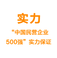 實力——“中國民營企業500強”實力保證